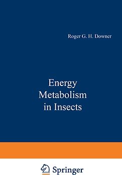 Energy Metabolism in Insects
