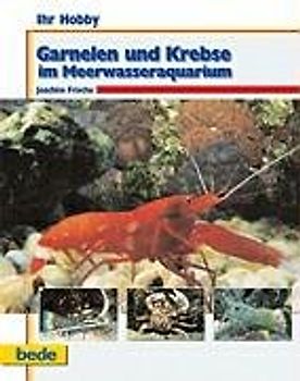 Ihr Hobby Garnelen und Krebse im Meerwasseraquarium