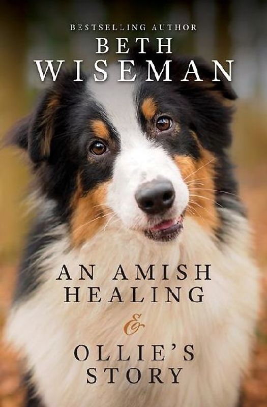 An Amish Healing & Ollie's Story