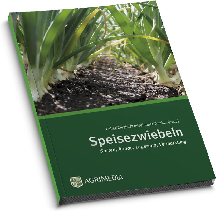 Speisezwiebeln