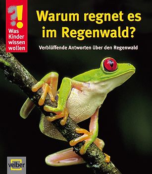 Warum regnet es im Regenwald?