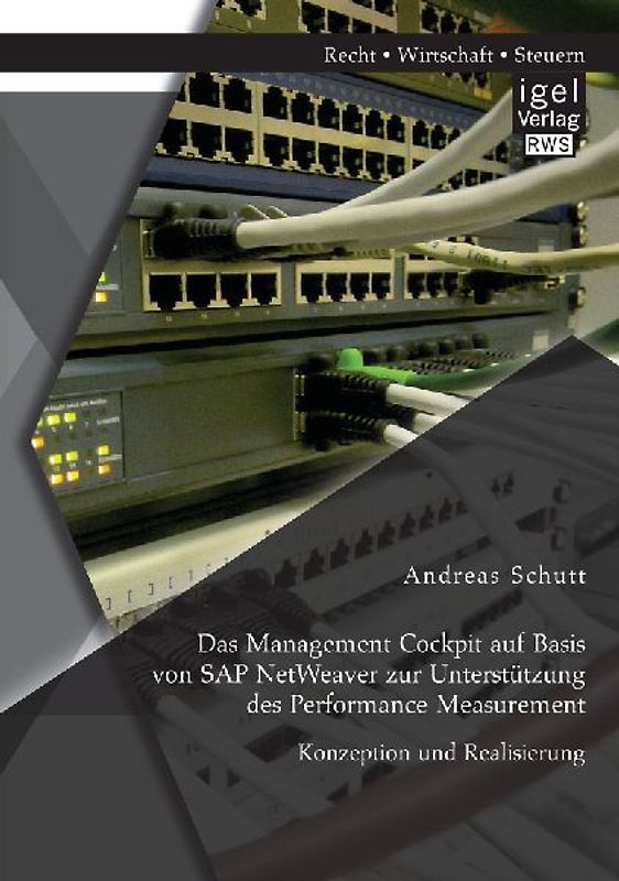 Das Management Cockpit auf Basis von SAP NetWeaver zur Unterstützung des Performance Measurement: Konzeption und Realisierung