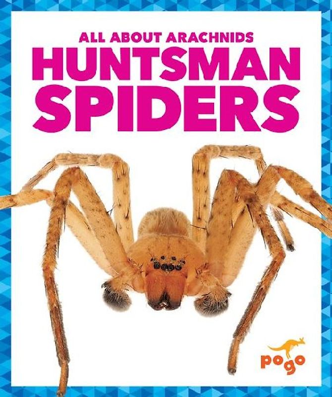 Huntsman Spiders