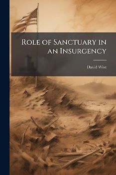 Role of Sanctuary in an Insurgency