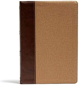KJV Rainbow Study Bible, Brown/Tan Leathertouch
