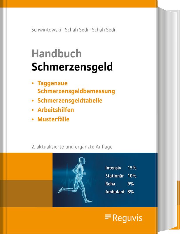 Handbuch Schmerzensgeld