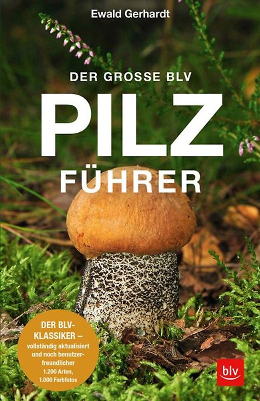 Der große BLV Pilzführer