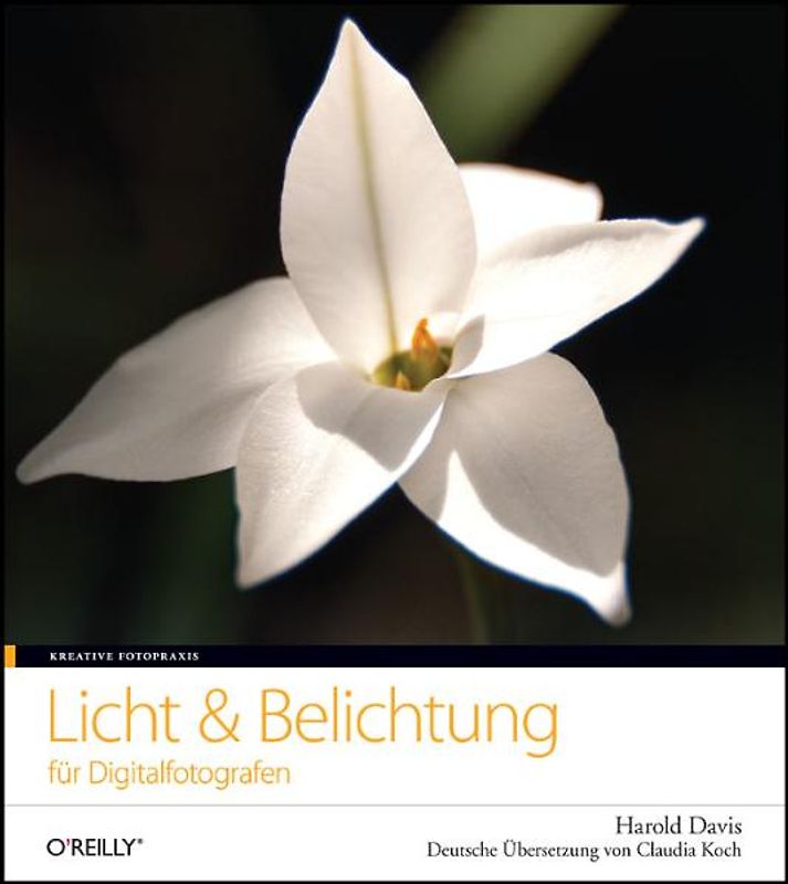 Licht & Belichtung für Digitalfotografen