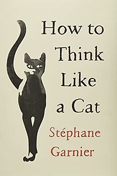 How to Think Like a Cat