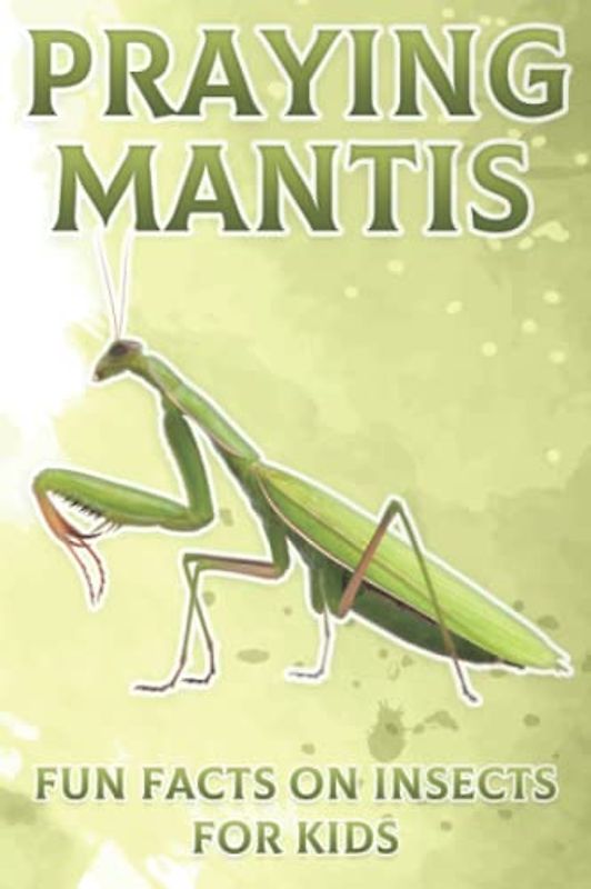 Praying Mantis: Fun Facts on Insects for Kids #2
