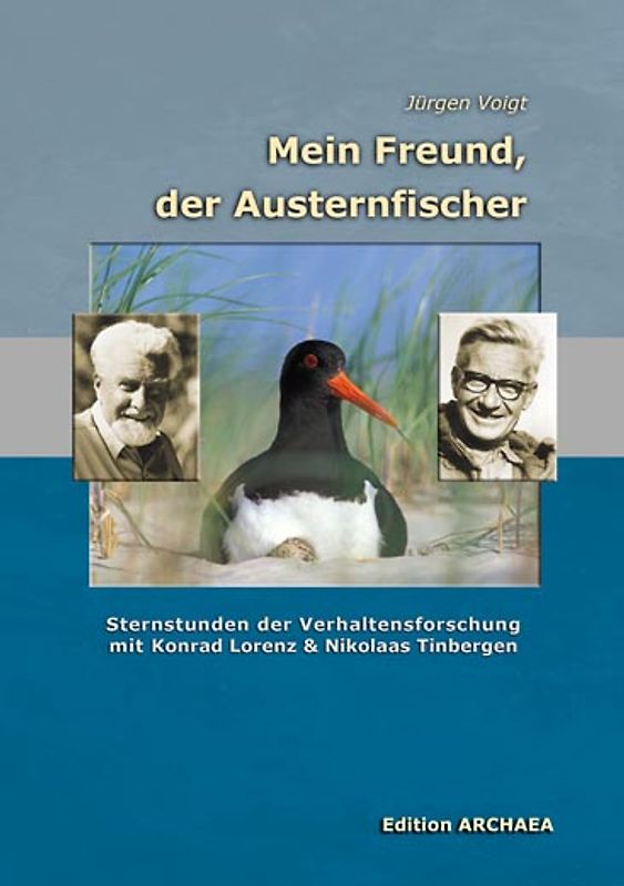 Mein Freund, der Austernfischer