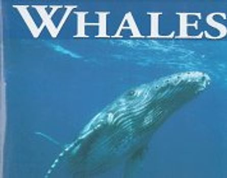Whales