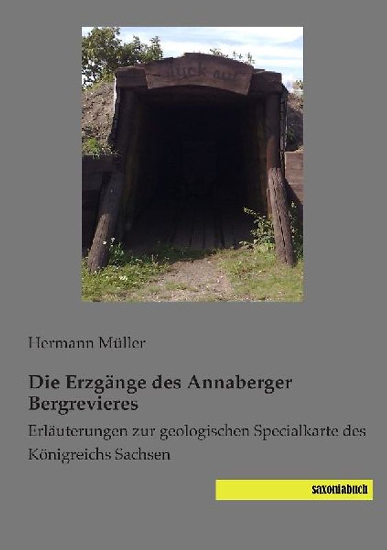 Die Erzgänge des Annaberger Bergrevieres
