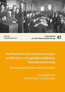 Verflochtene Herausforderungen politischer und gesellschaftlicher Demokratisierung