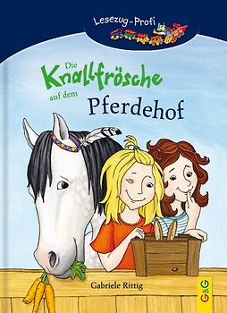 LESEZUG/Profi: Die Knallfrösche auf dem Pferdehof