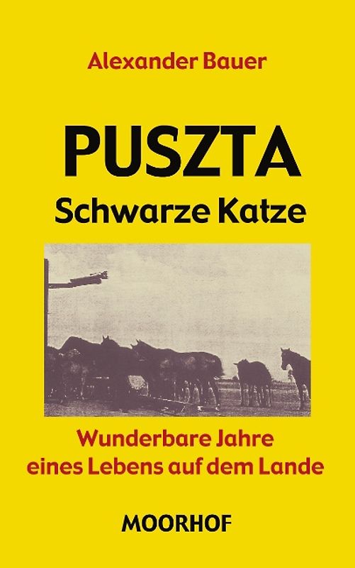 Puszta - schwarze Katze - wunderbare Jahre eines Lebens auf dem Lande