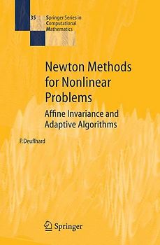 Newton Methods for Nonlinear Problems