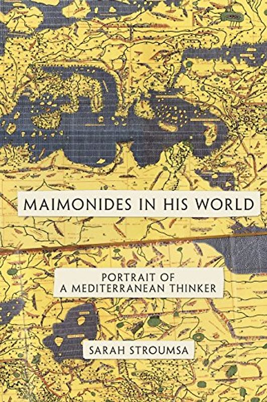 Maimonides in His World: Portrait of a Mediterranean Thinker (Jews, Christians, and Muslims from the Ancient to the Modern World) - Sarah Stroumsa