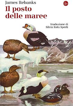 Il posto delle maree