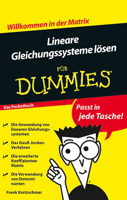 Lineare Gleichungssysteme lösen für Dummies Das Pocketbuch