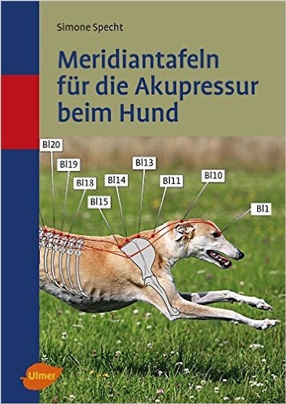 Meridiantafeln für die Akupressur beim Hund