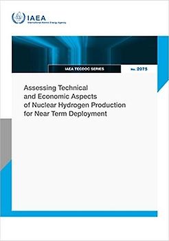 Assessing Technical and Economic Aspects of Nuclear Hydrogen Production for Near Term Deployment