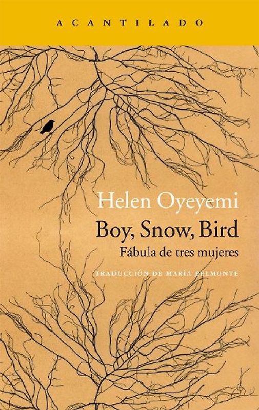 Boy, snow, bird