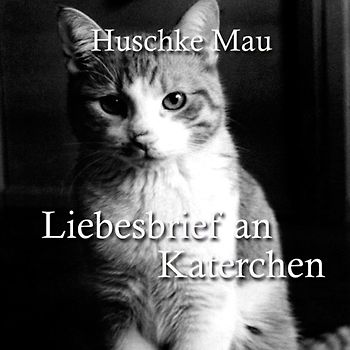 Liebesbrief an Katerchen