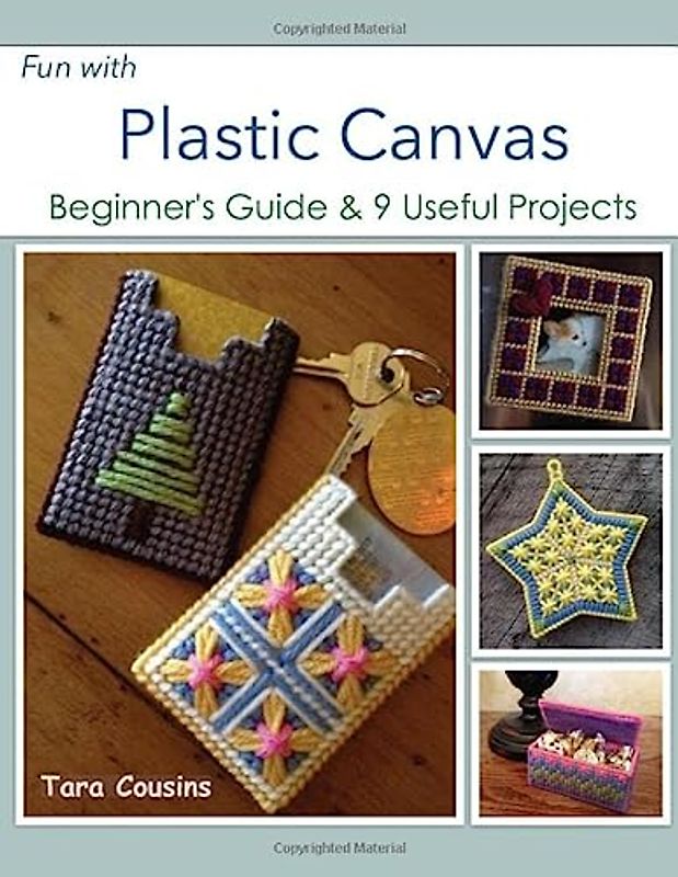 Fun with Plastic Canvas: Beginner's Guide & 9 Useful Projects (Tiger Road Crafts)