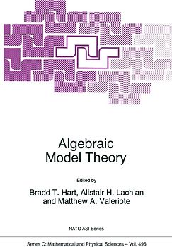 Algebraic Model Theory