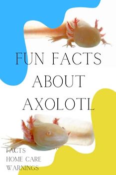 Fun Facts About Axolotl: Fun Interesting Facts, How to Take Care of Them, Pet Lovers (Fun Facts About Animals and Creatures)