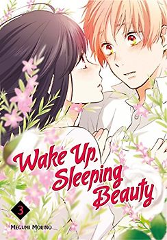 Wake Up, Sleeping Beauty 3