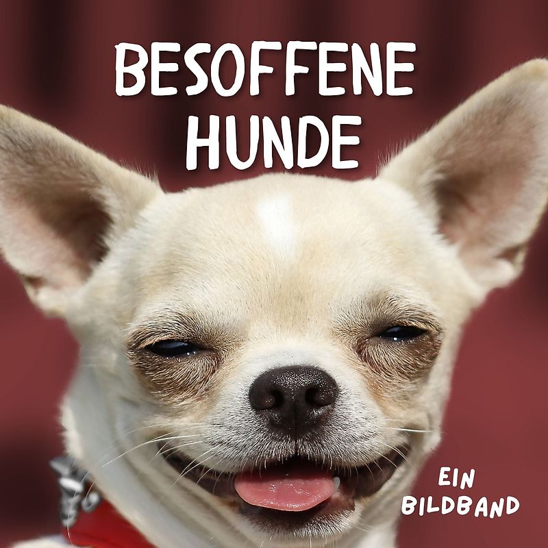 Besoffene Hunde