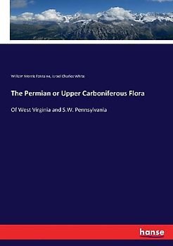 The Permian or Upper Carboniferous Flora
