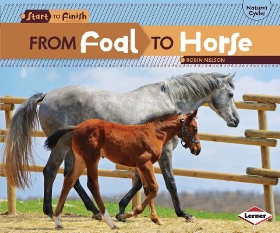 From Foal to Horse