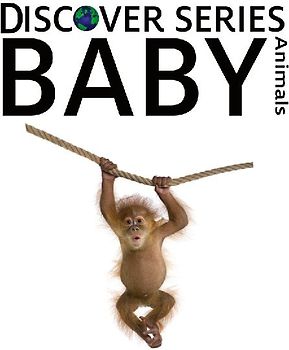 Baby Animals