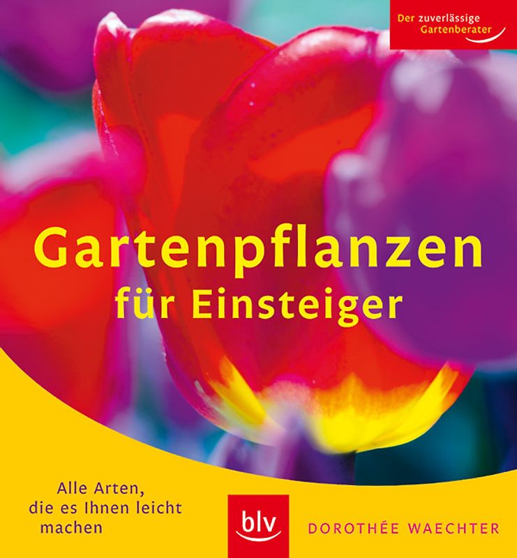Gartenpflanzen für Einsteiger