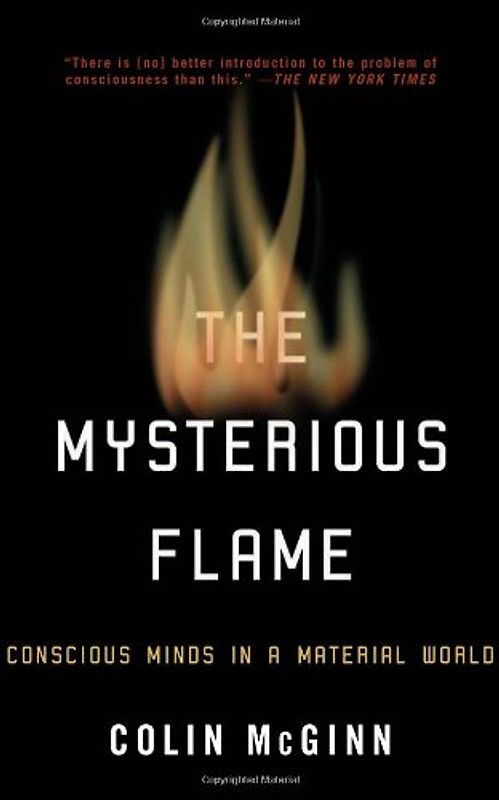 The Mysterious Flame: Conscious Minds in a Material World
