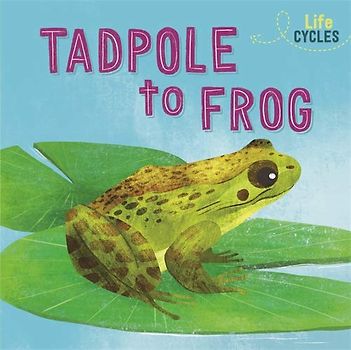 From Tadpole to Frog (Life Cycles, Band 2)