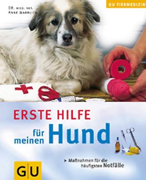 Erste Hilfe für meinen Hund