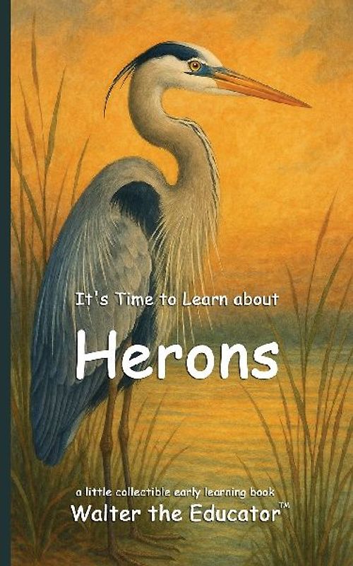 It's Time to Learn about Herons