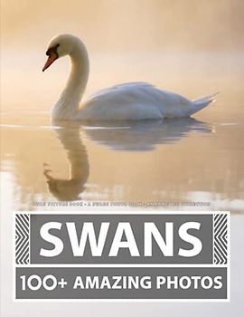 Swan Picture Book - A Swans Photo Book - Amazing Big Collection: 100+ Amazing Pictures of Swans in this Beautiful Swan photo book