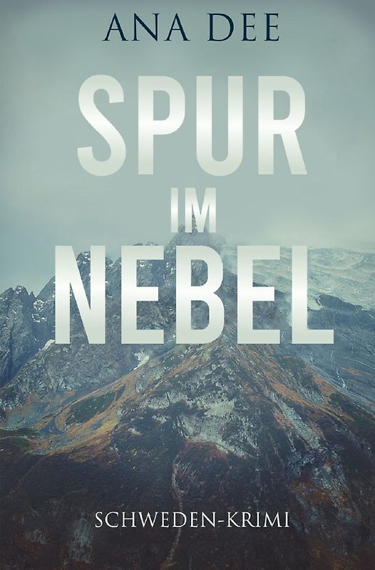 Spur im Nebel