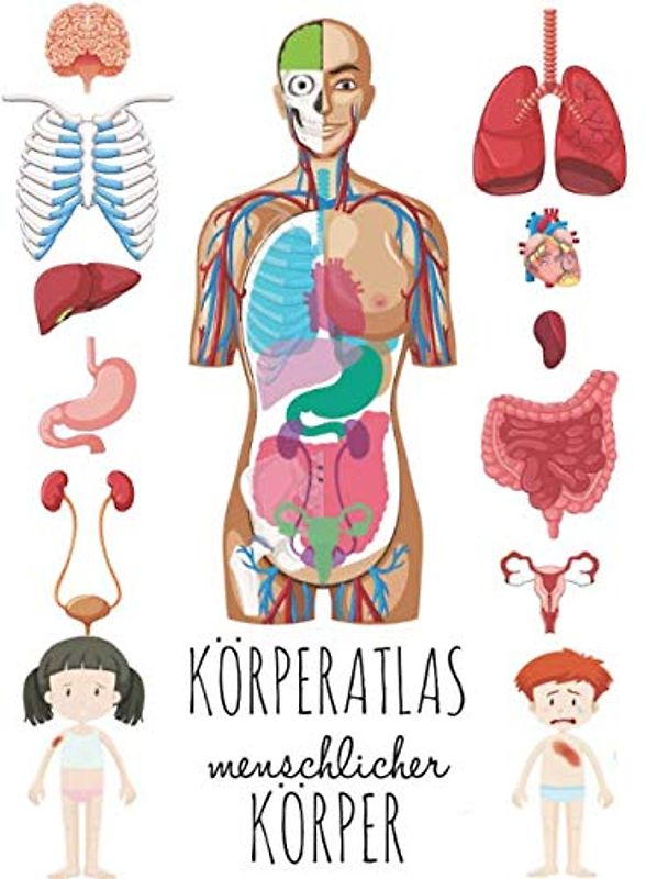 Körperatlas Menschlicher Körper: Buch vom körper für kinder, Mein körper organe.