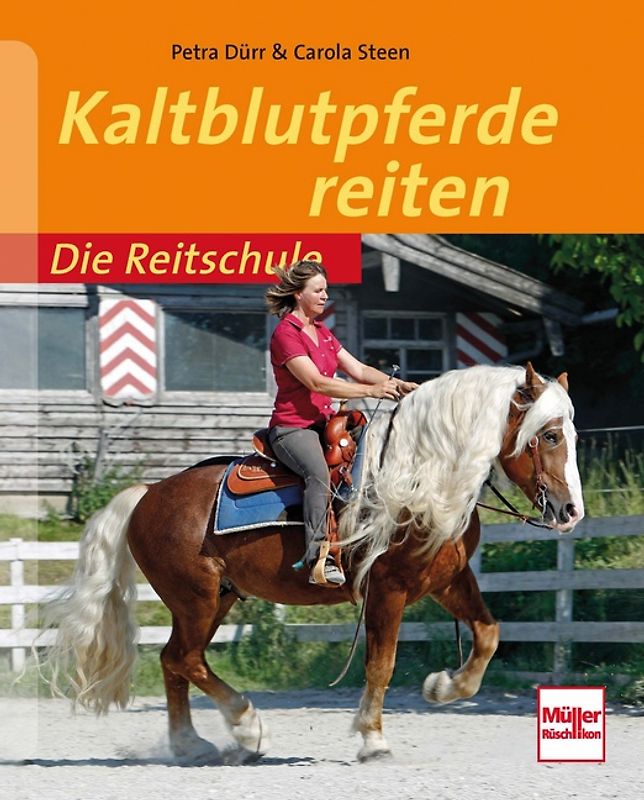 Kaltblutpferde reiten