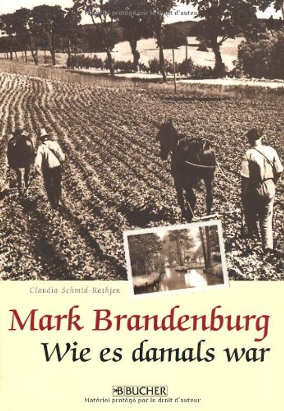 Mark Brandenburg