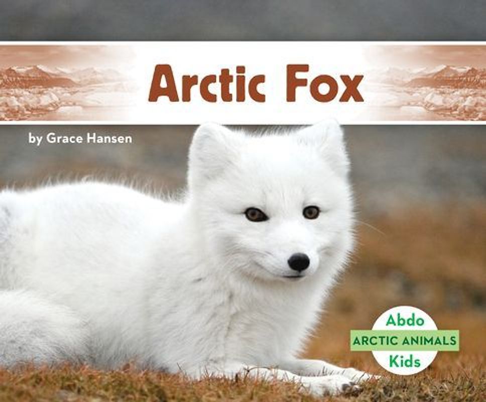 Arctic Fox