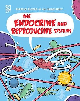 The Endocrine and Reproductive Systems