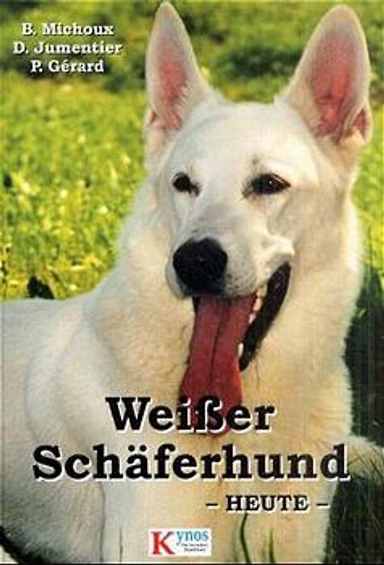 Weisser Schäferhund heute