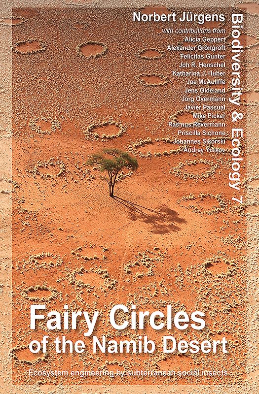 Fairy Circles of the Namib Desert